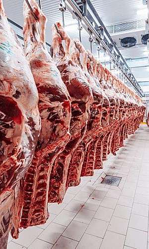 câmara frigorífica valor câmara frigorífica valor