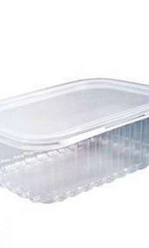 embalagem para comida congelada embalagem para comida congelada