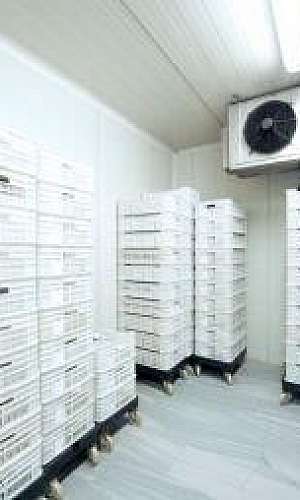 Preço do reparo de câmaras frias Preço do reparo de câmaras frias